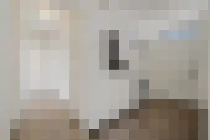 Hengelolaan 681 Den Haag thumbnail 19
