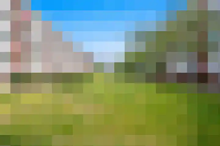 Hengelolaan 681 Den Haag thumbnail 27