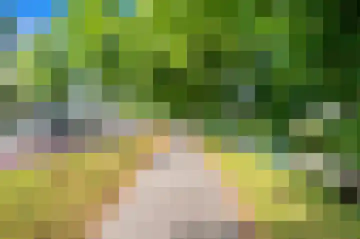 Hengelolaan 681 Den Haag thumbnail 32