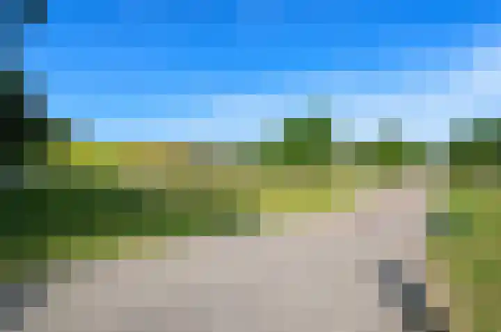 Hengelolaan 681 Den Haag thumbnail 37
