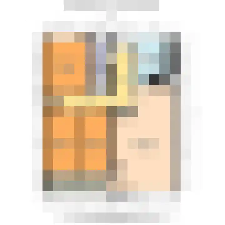 Hengelolaan 681 Den Haag thumbnail 39