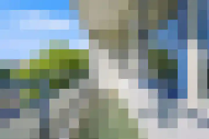 Hengelolaan 681 Den Haag thumbnail 5