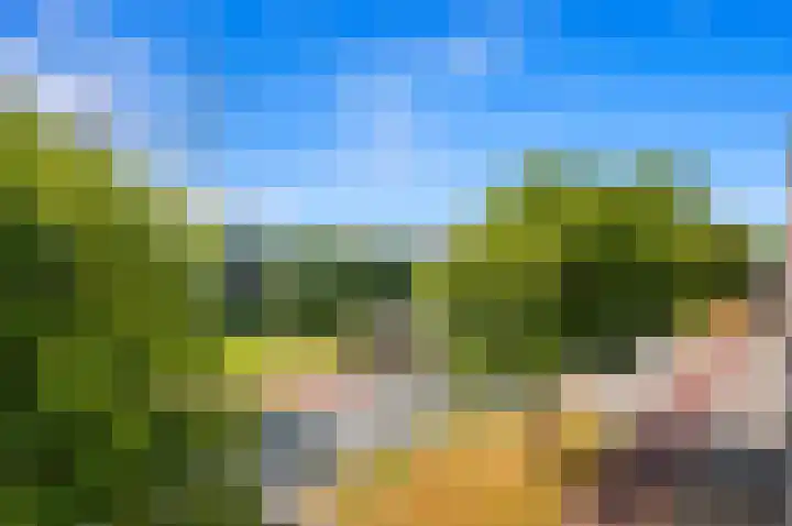 Hengelolaan 681 Den Haag thumbnail 6