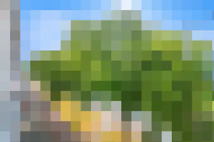 Hengelolaan 681 Den Haag thumbnail 8