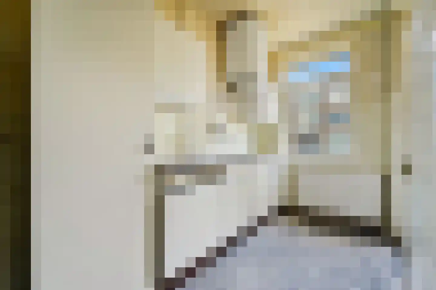 Hengelolaan 920 Den Haag thumbnail 15