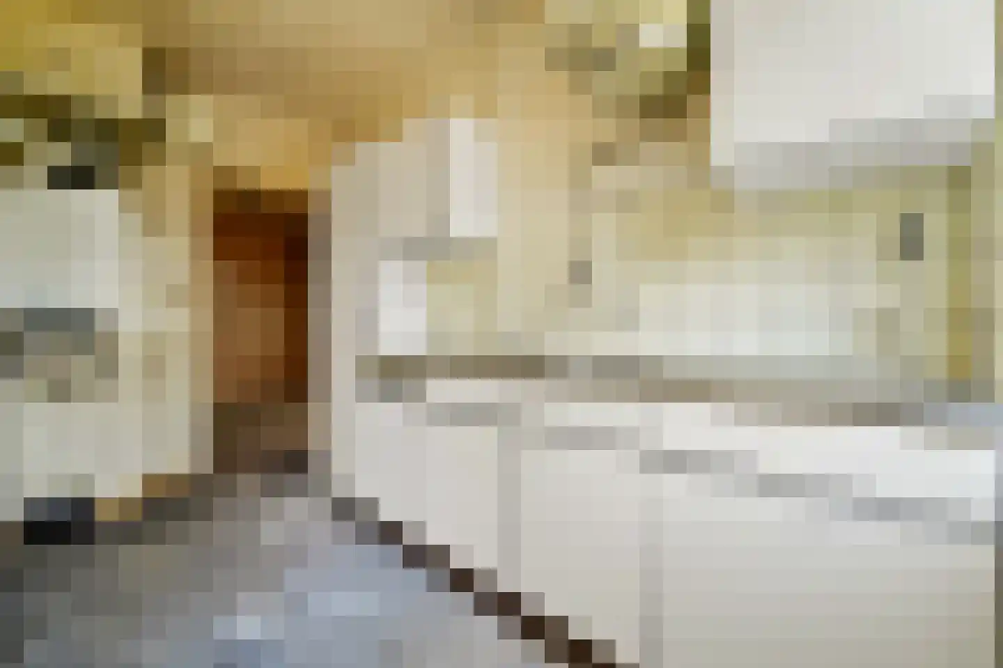 Hengelolaan 920 Den Haag thumbnail 16