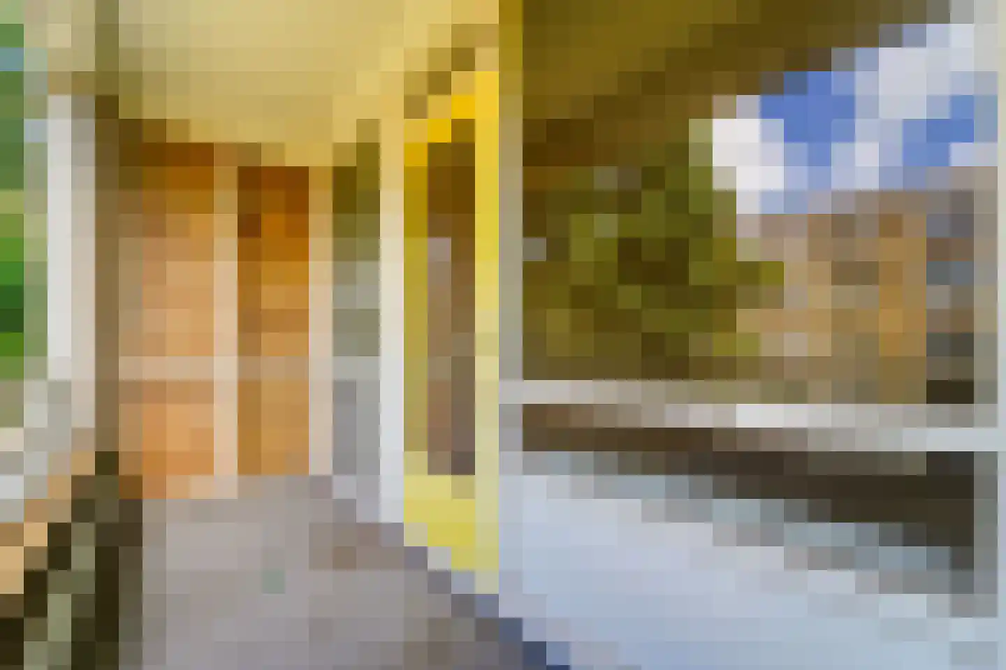 Hengelolaan 920 Den Haag thumbnail 27