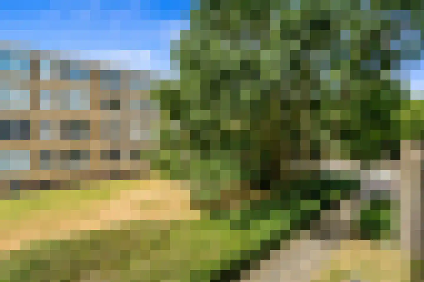 Hengelolaan 920 Den Haag thumbnail 29