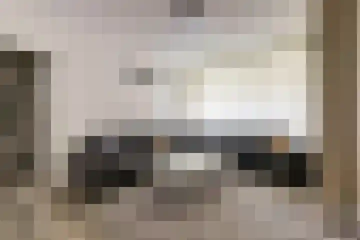 Hengelolaan 921 Den Haag thumbnail 10