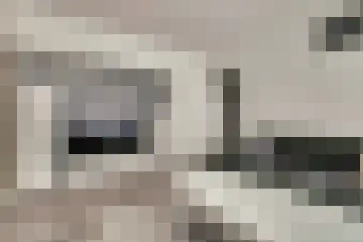 Hengelolaan 921 Den Haag thumbnail 11