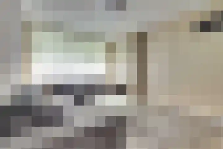 Hengelolaan 921 Den Haag thumbnail 12