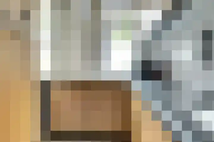 Hengelolaan 921 Den Haag thumbnail 16
