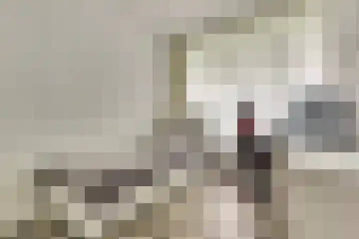 Hengelolaan 921 Den Haag thumbnail 17
