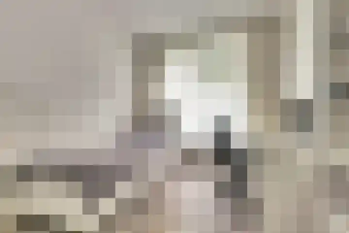 Hengelolaan 921 Den Haag thumbnail 19