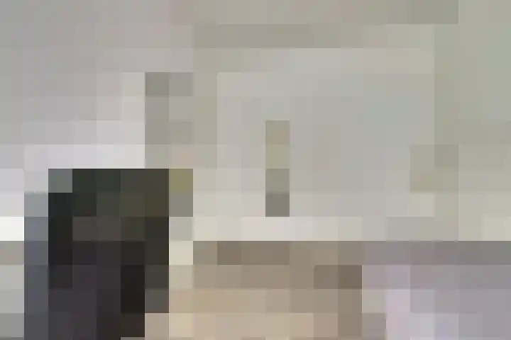 Hengelolaan 921 Den Haag thumbnail 20