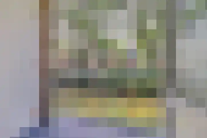 Hengelolaan 921 Den Haag thumbnail 27