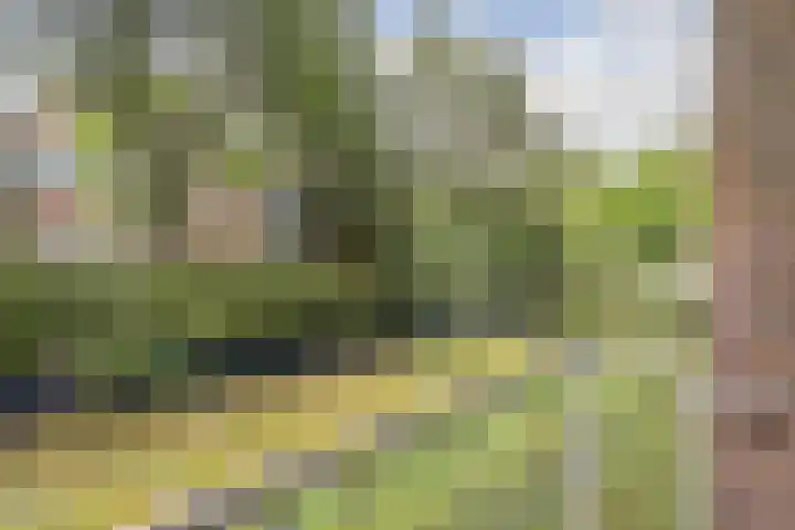 Hengelolaan 921 Den Haag thumbnail 28