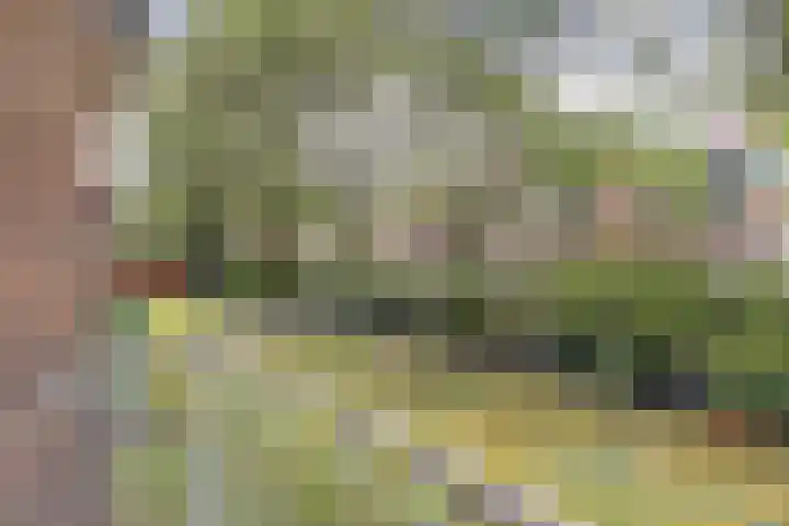 Hengelolaan 921 Den Haag thumbnail 29