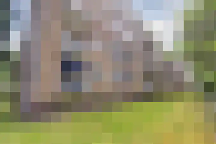 Hengelolaan 921 Den Haag thumbnail 32