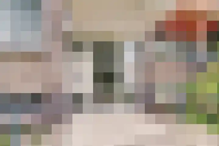 Hengelolaan 921 Den Haag thumbnail 4