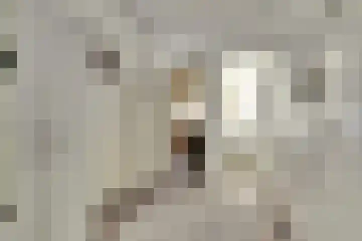 Hengelolaan 921 Den Haag thumbnail 9