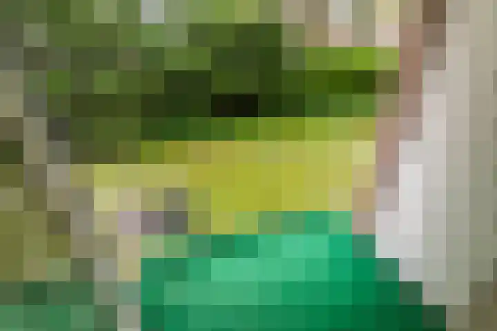 Hengelolaan 965 Den Haag thumbnail 10