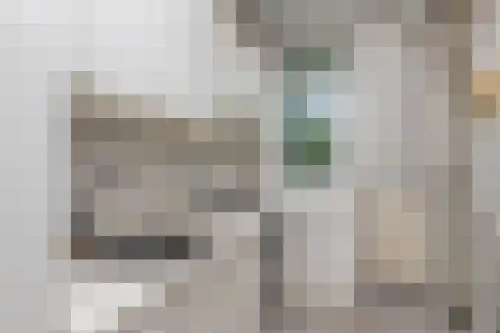 Hengelolaan 965 Den Haag thumbnail 11