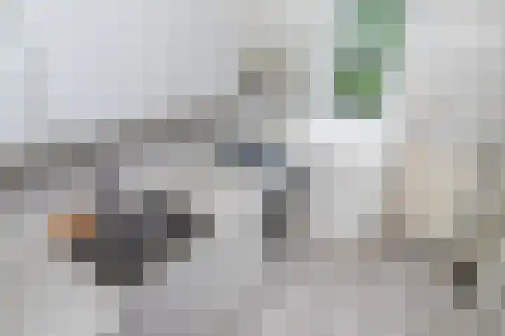 Hengelolaan 965 Den Haag thumbnail 12