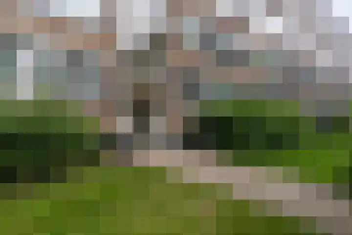 Hengelolaan 965 Den Haag thumbnail 19