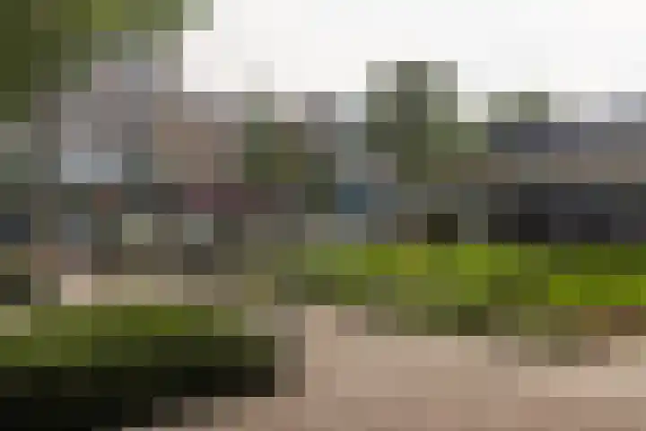 Hengelolaan 965 Den Haag thumbnail 21