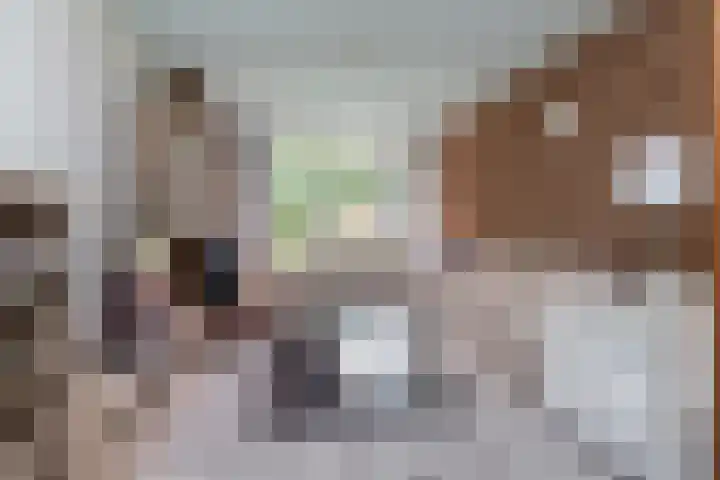 Hengelolaan 965 Den Haag thumbnail 5