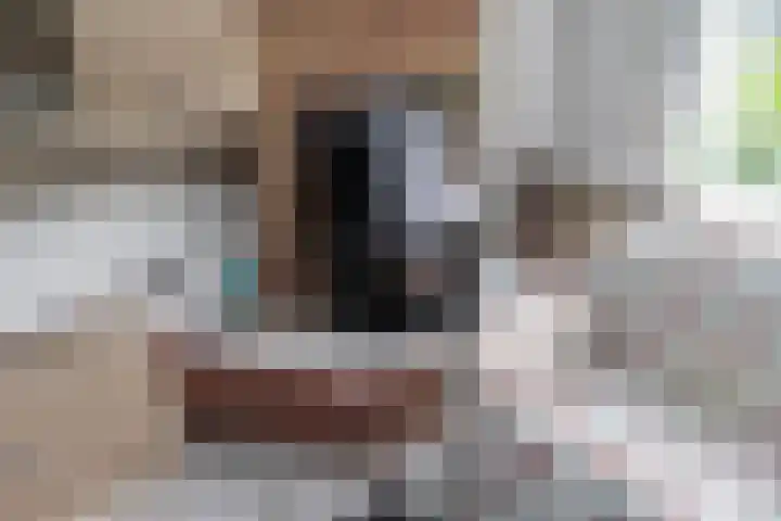 Hengelolaan 965 Den Haag thumbnail 6