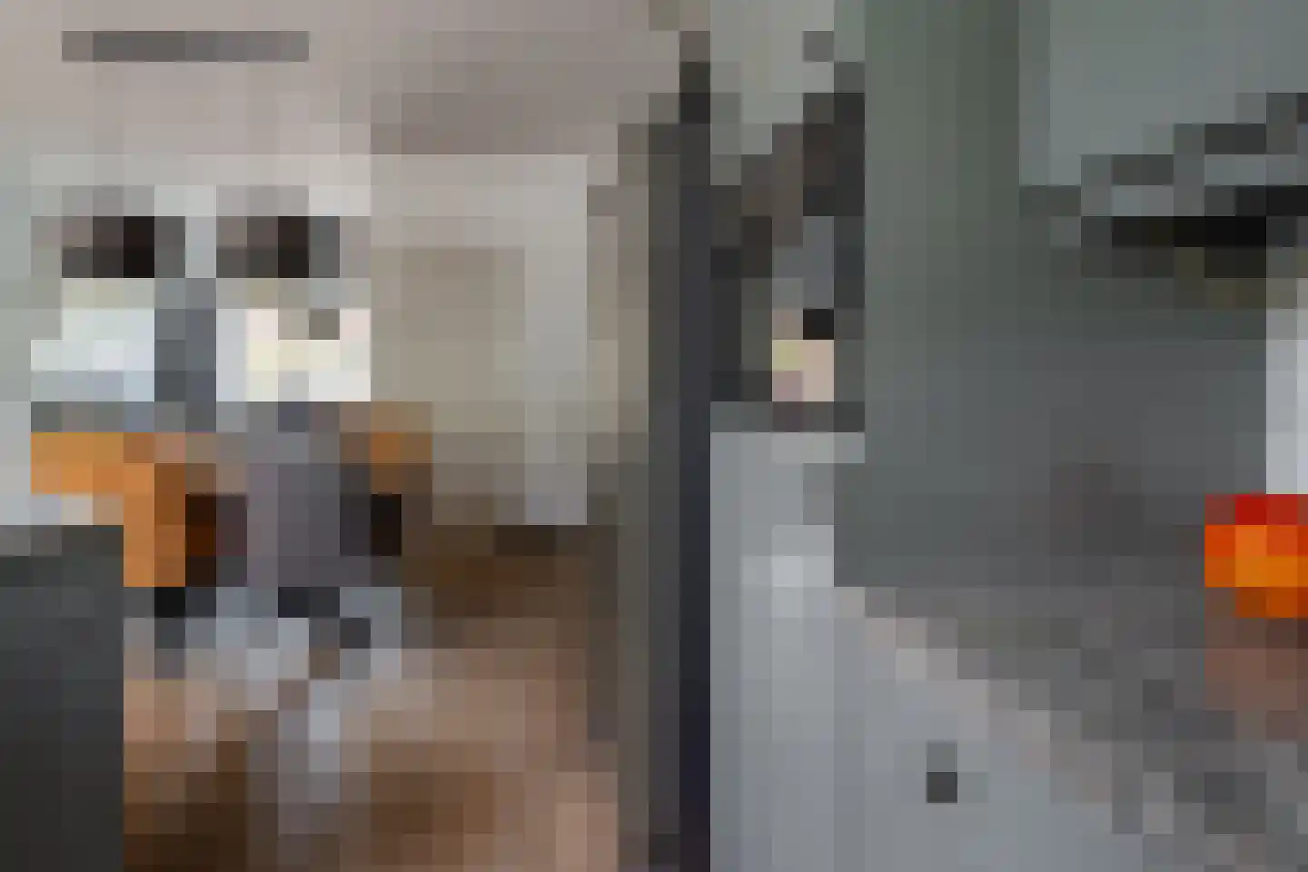 Hengelose Esstraat 10 Hengelo thumbnail 23