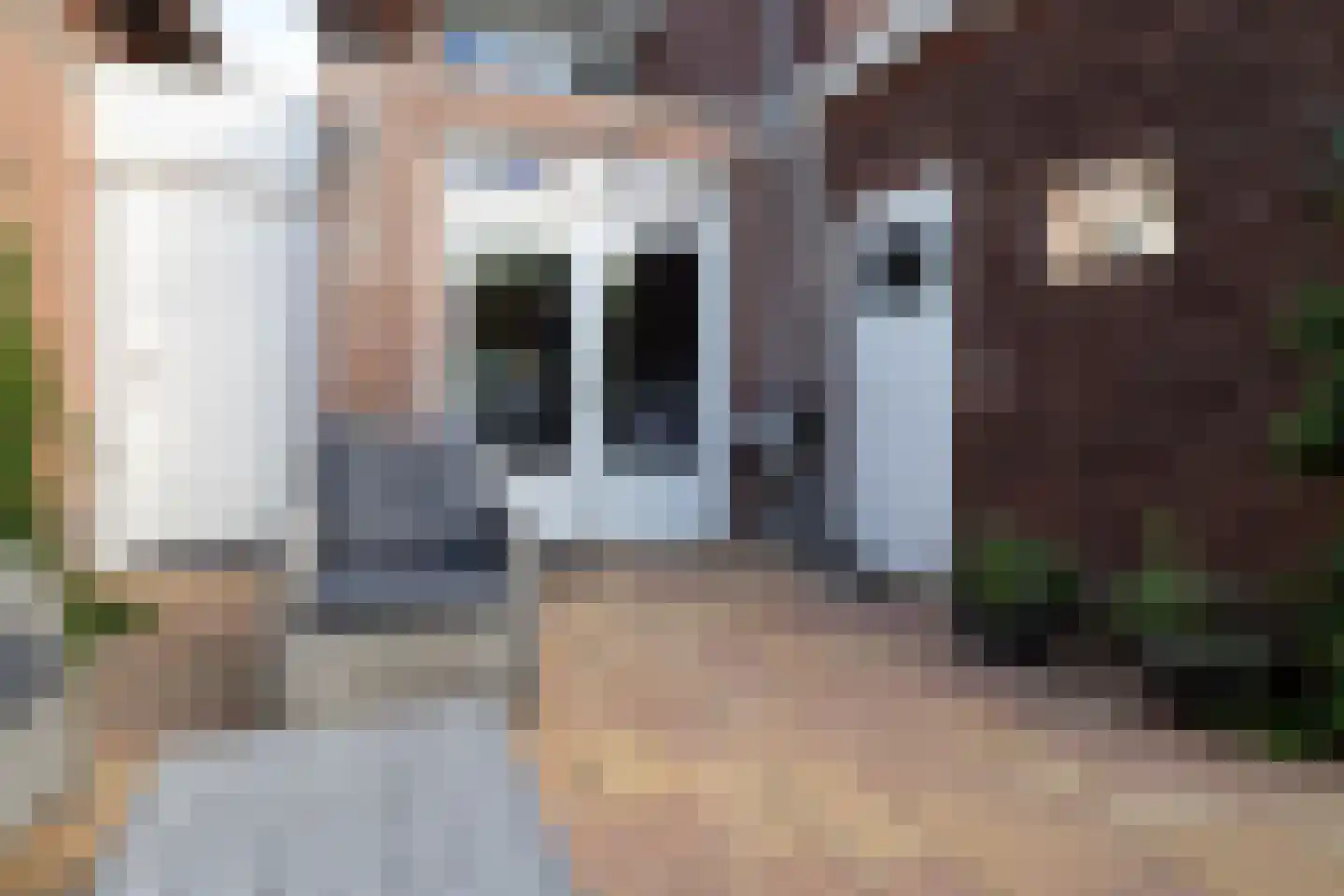 Hengelose Esstraat 10 Hengelo thumbnail 40