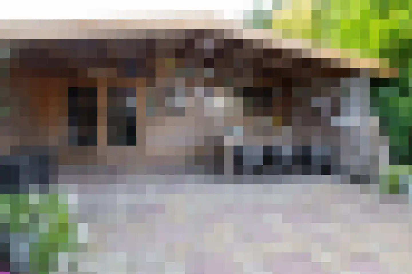 Hengelose Esstraat 10 Hengelo thumbnail 44