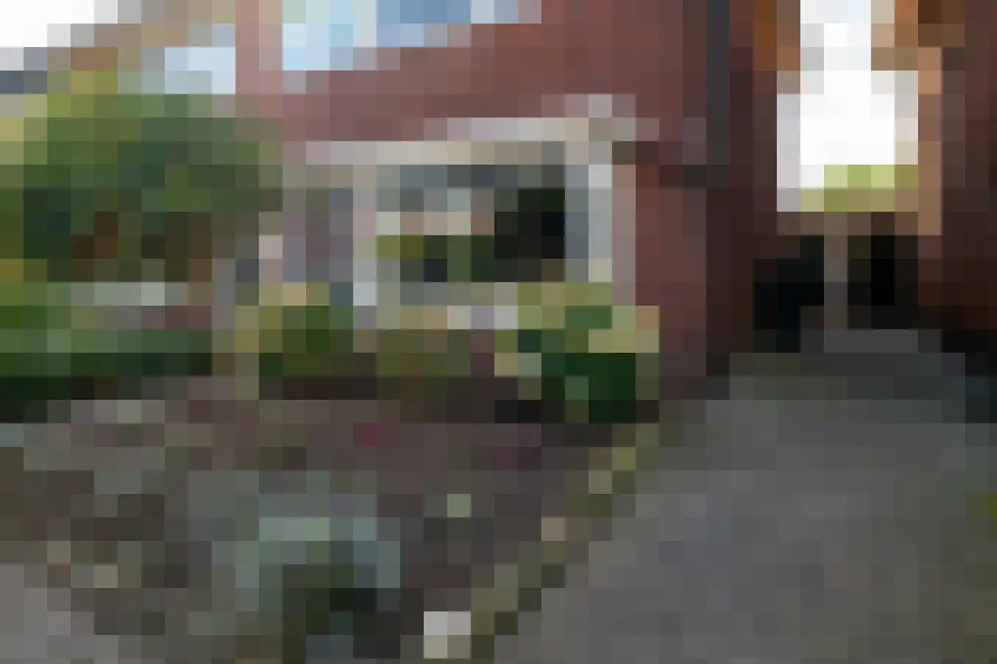 Hengelose Esstraat 10 Hengelo thumbnail 6