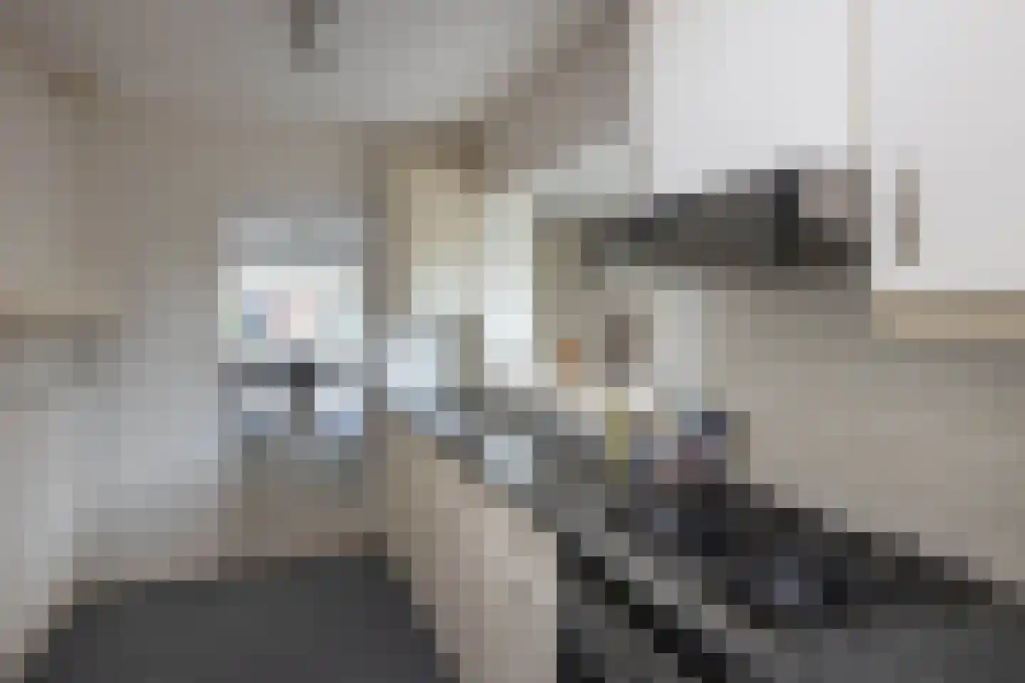 Hengelose Esstraat 64 Hengelo thumbnail 10