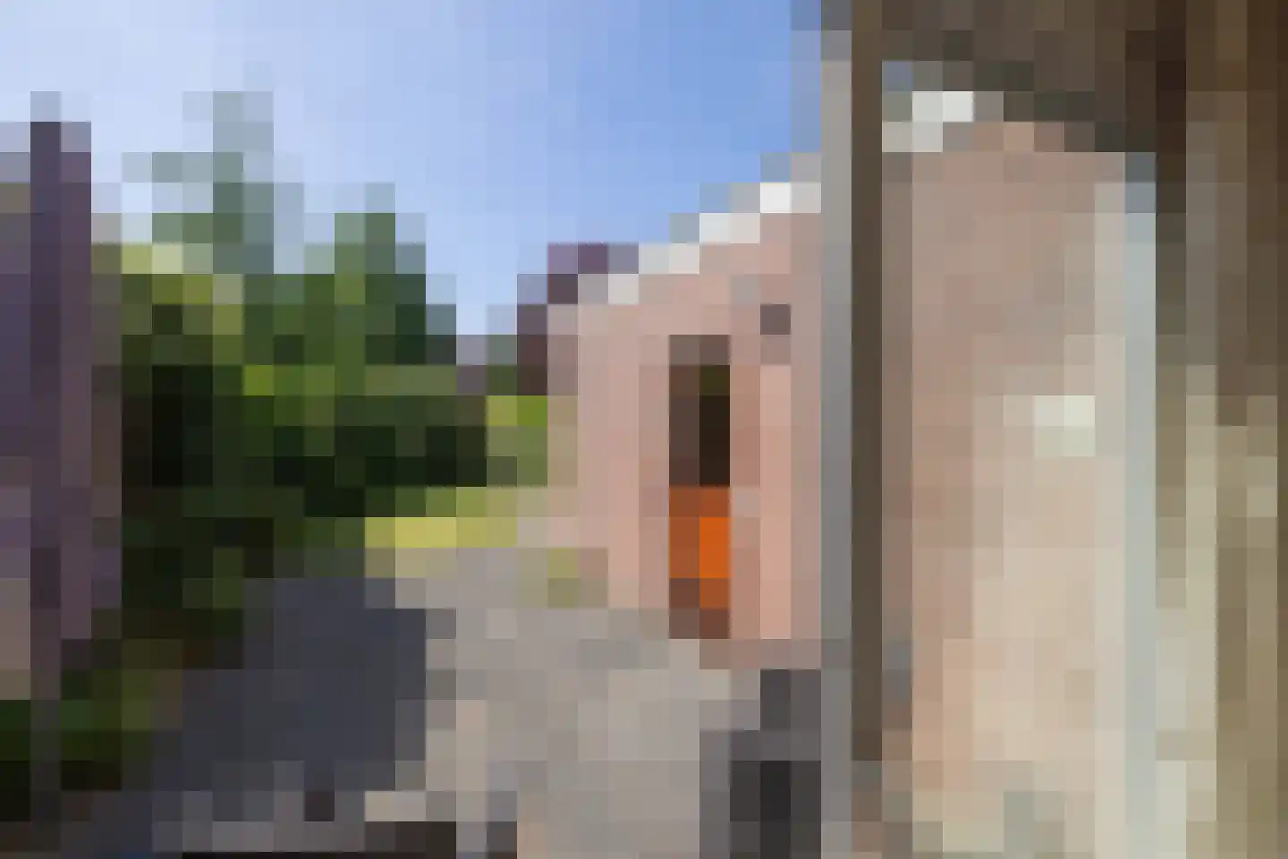 Hengelose Esstraat 64 Hengelo thumbnail 26