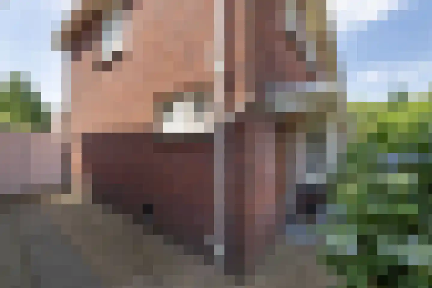 Hengelose Esstraat 64 Hengelo thumbnail 33
