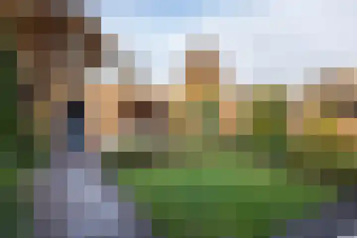 Hengelose Esstraat 79 Hengelo thumbnail 28