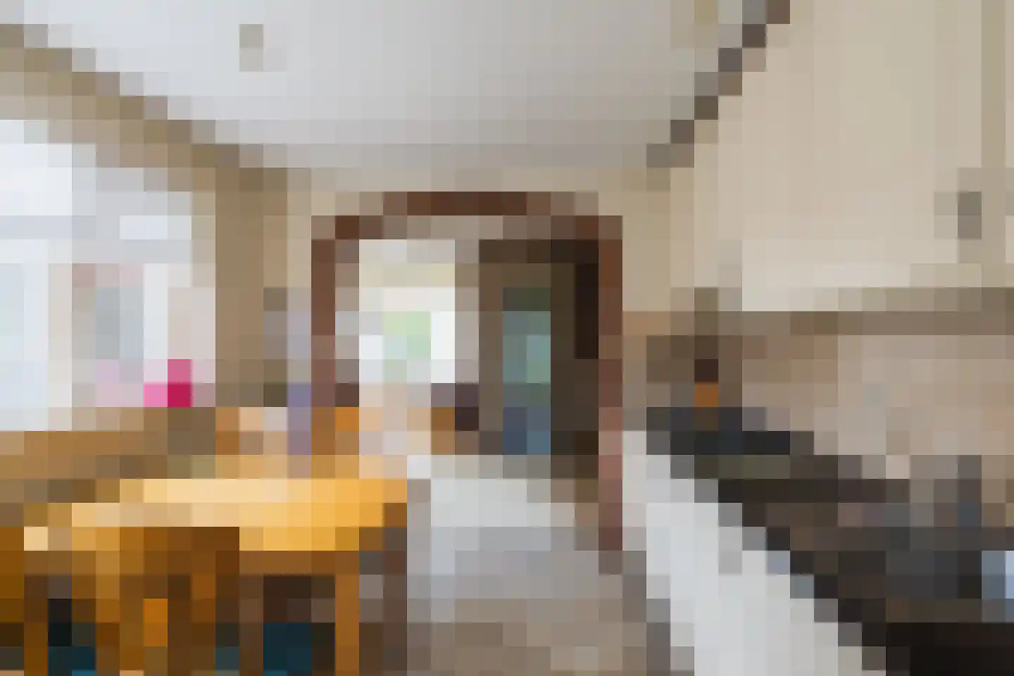 Hengelosestraat 18 Sint Philipsland thumbnail 13