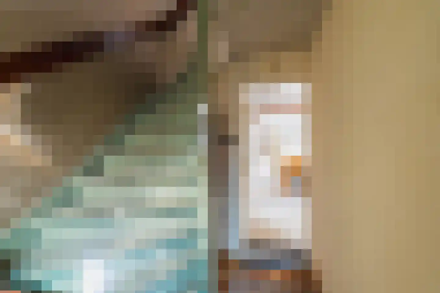 Hengelosestraat 18 Sint Philipsland thumbnail 8