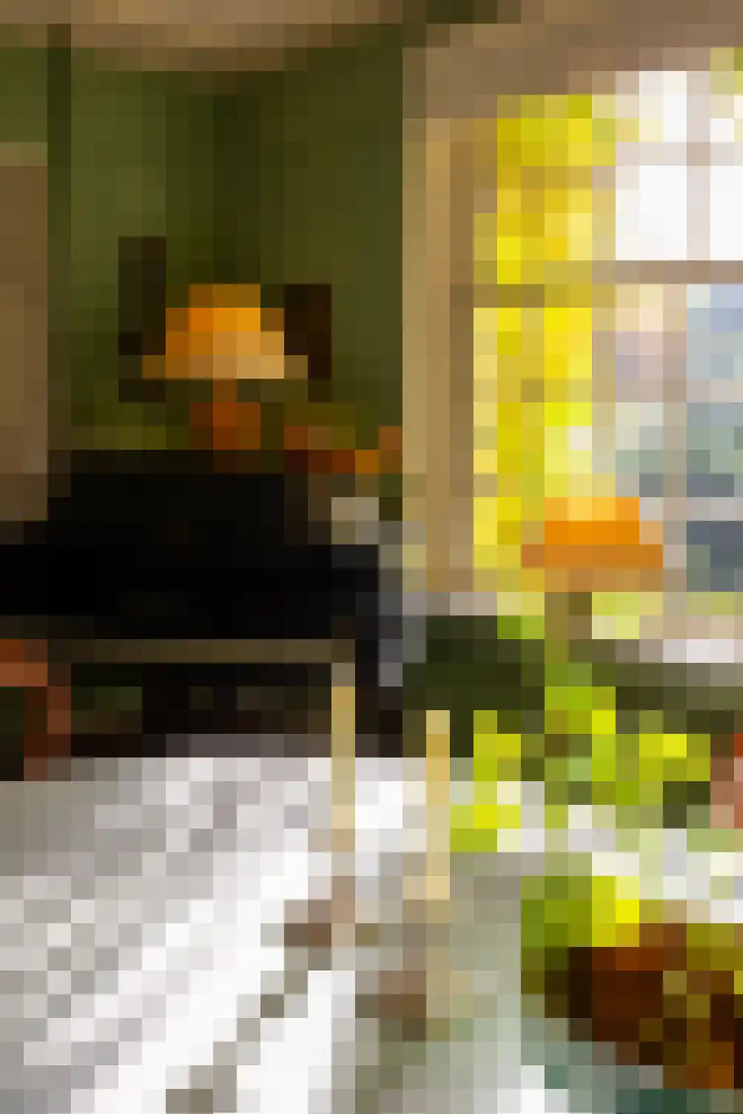 Hengelosestraat 24 Delden thumbnail 17
