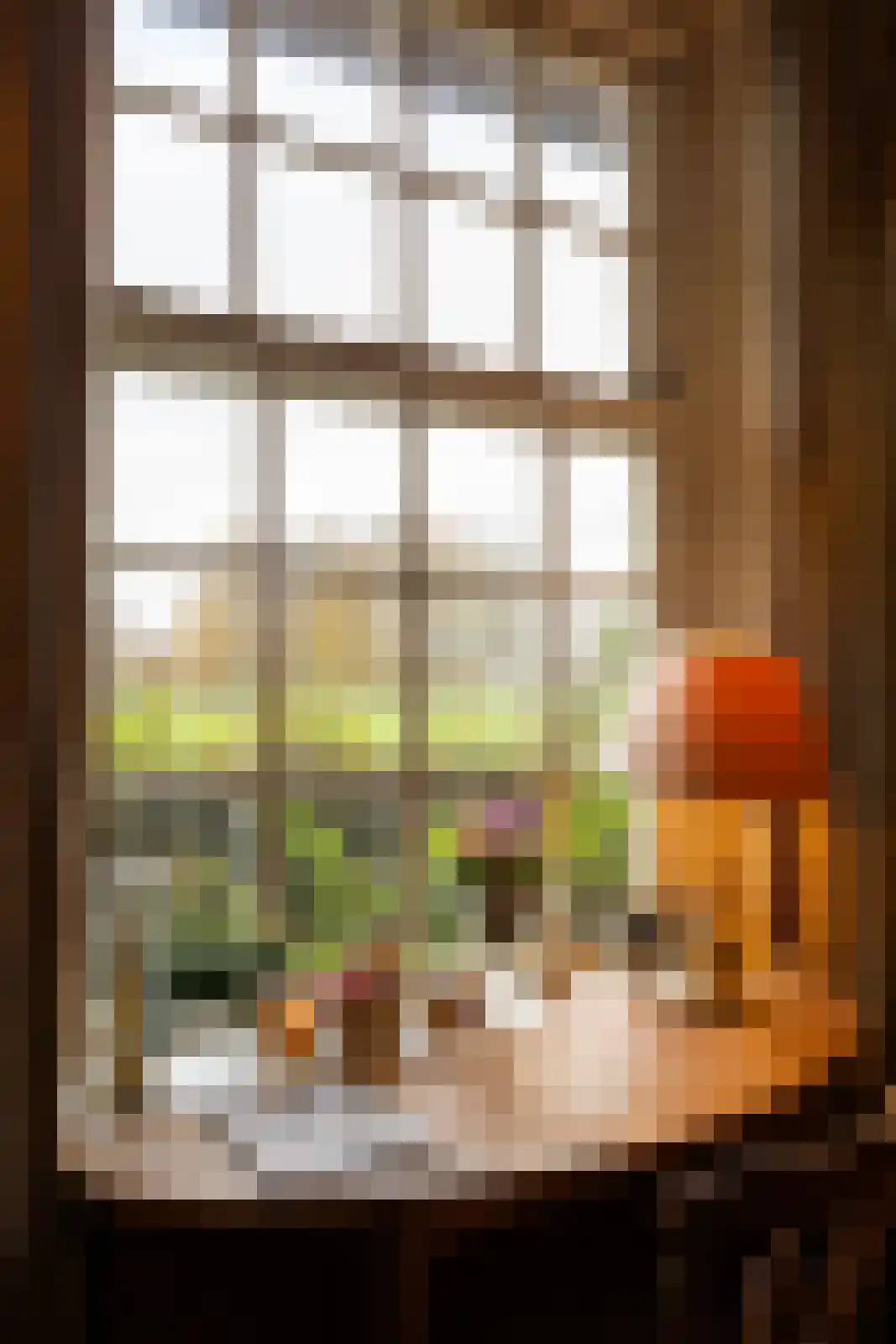 Hengelosestraat 24 Delden thumbnail 25