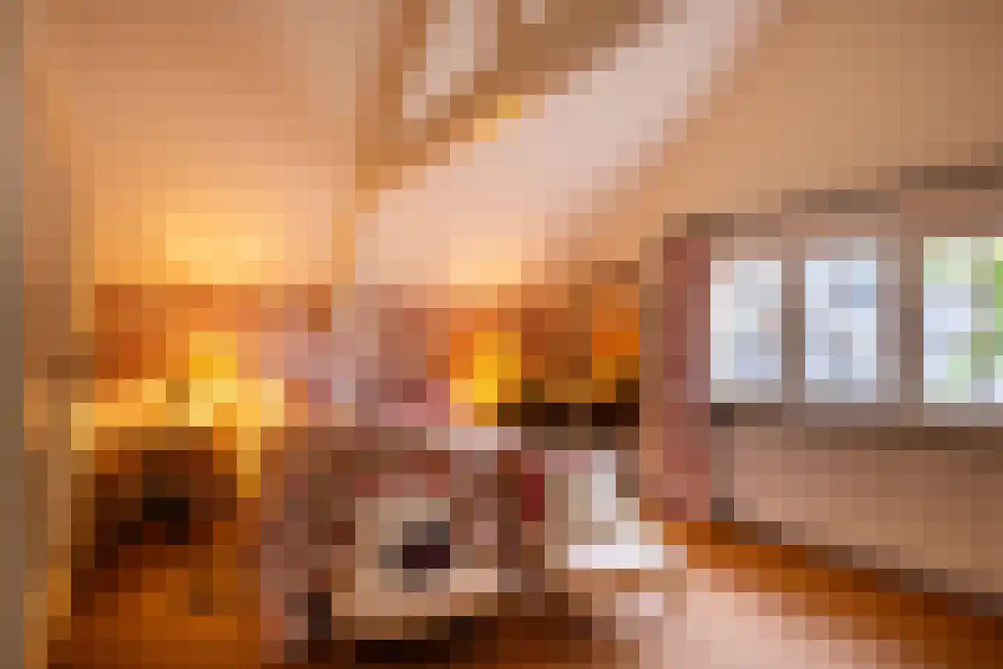 Hengelosestraat 24 Delden thumbnail 34