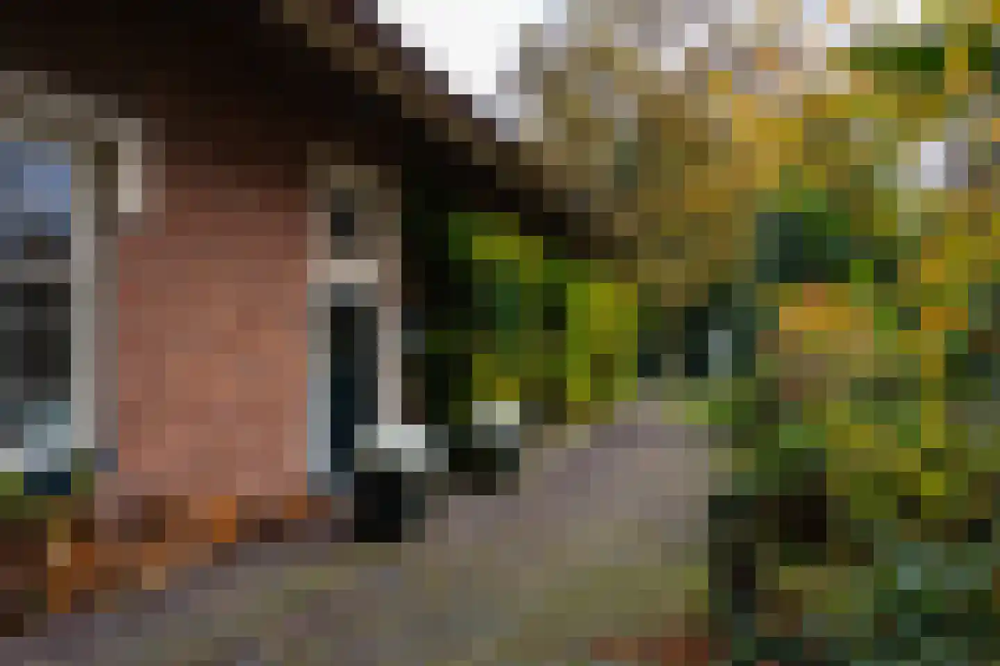 Hengelosestraat 24 Delden thumbnail 43