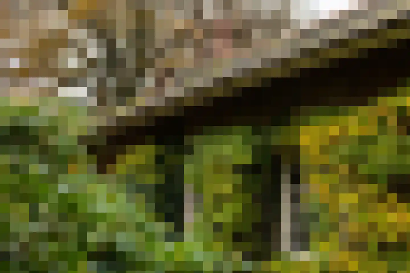 Hengelosestraat 24 Delden thumbnail 46