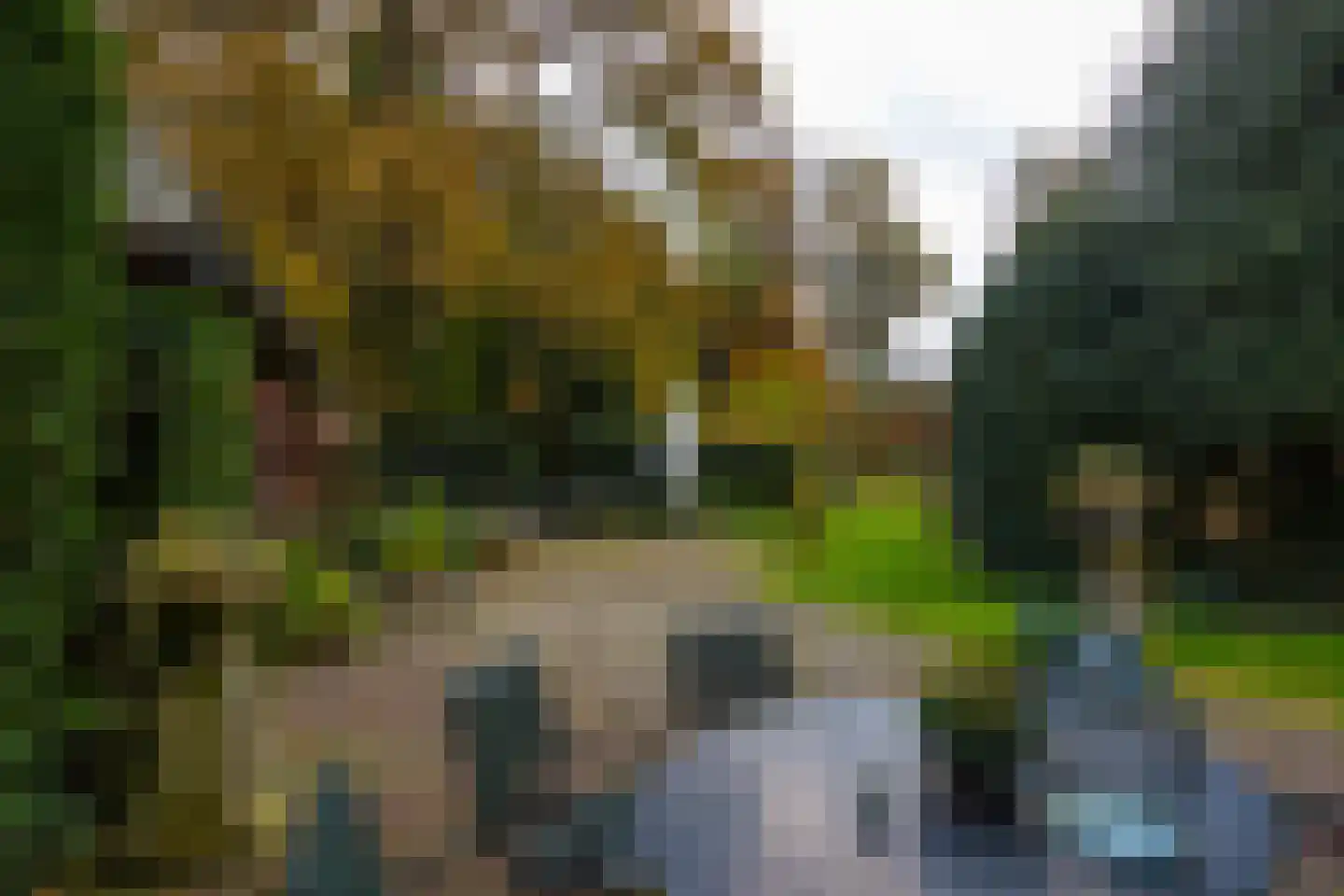 Hengelosestraat 24 Delden thumbnail 54