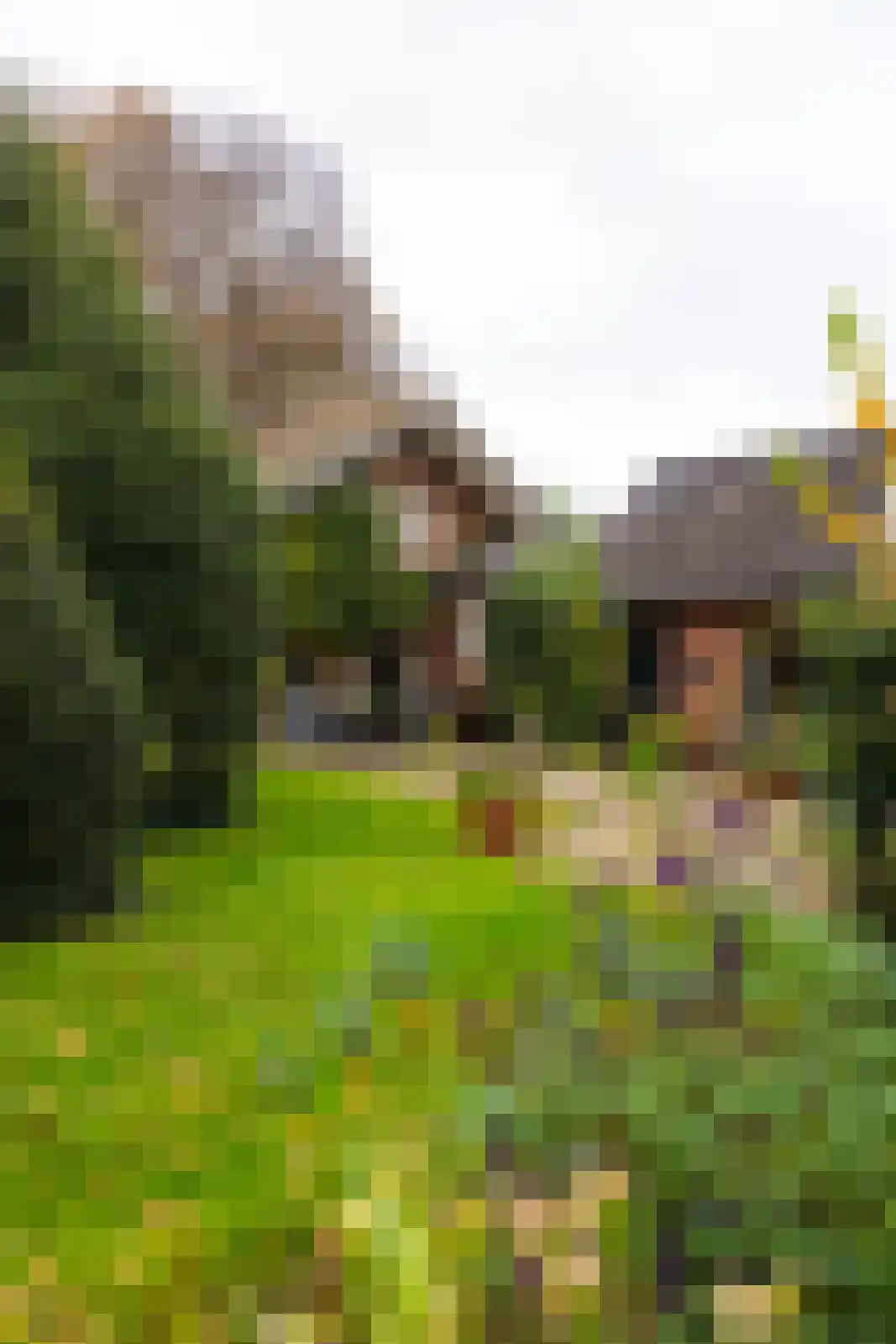 Hengelosestraat 24 Delden thumbnail 55