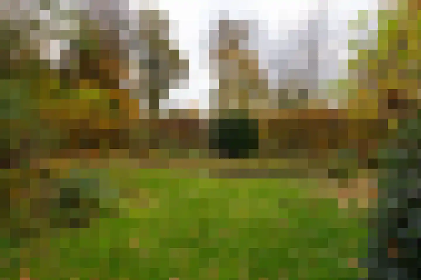 Hengelosestraat 24 Delden thumbnail 60